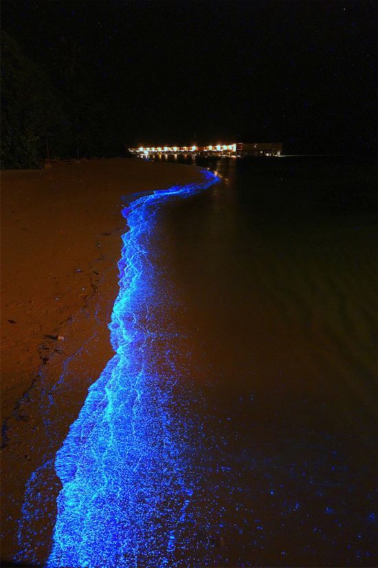 组图：感受马尔代夫夜晚神奇的'星空海滩'