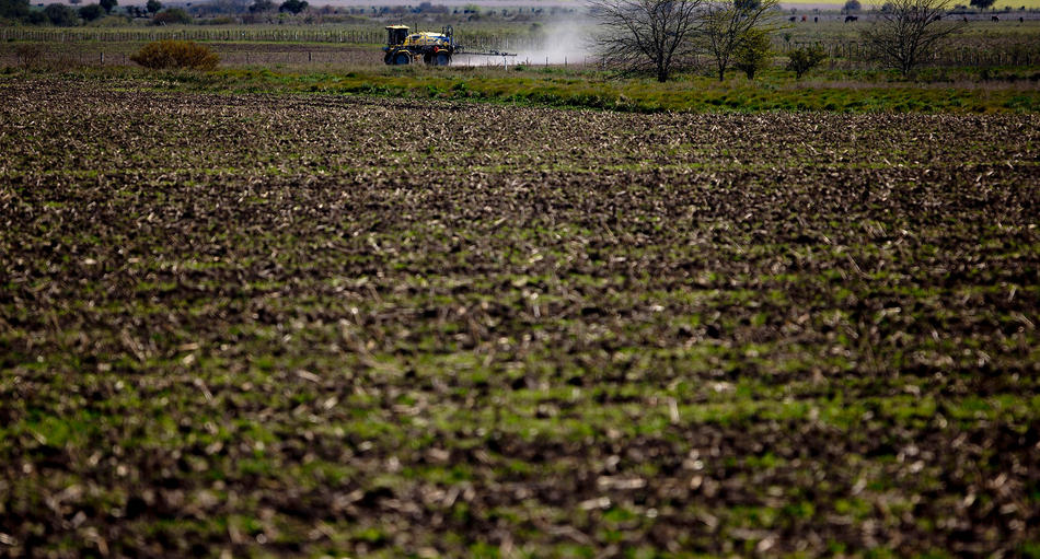 阿根廷农药污染危机