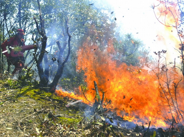 四川冕宁森林火灾 过火面积约18公顷