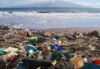 海洋塑料垃圾时尚大变身