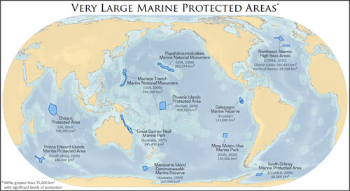 全球海洋保护区保护成效堪忧