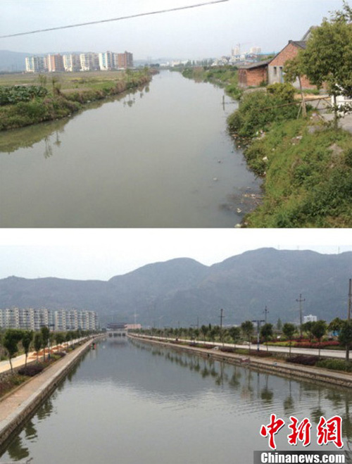 温州50多位胶鞋厂老板下河游泳 推动母亲河'治污'（高清）
