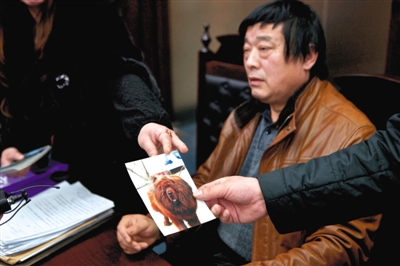 藏獒美容死亡 动物医院被判45万天价赔偿引争议