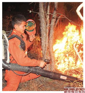 云南禄丰:扑救林火。3月13日凌晨,森警战士在全力灭火。