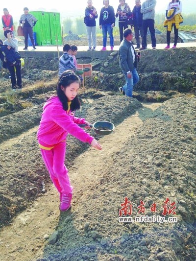 “豐收田”既幫助貧困戶脫貧，又成為認種無公害蔬菜和體驗生活的基地。