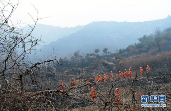 山东栖霞国家森林公园突发大火 直升机参与灭火