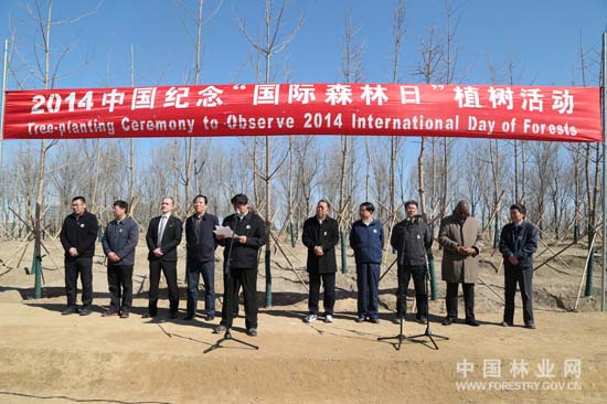 2014中国纪念'国际森林日'植树活动