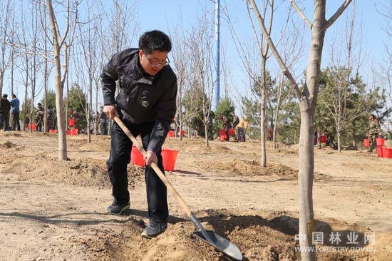 2014中国纪念'国际森林日'植树活动