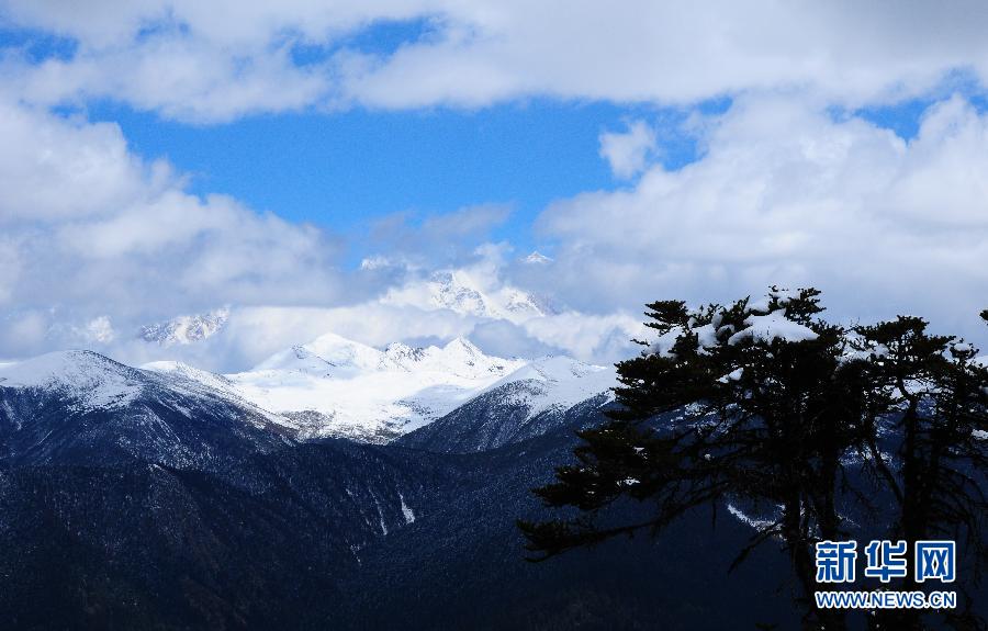 美丽中国：鲁朗林海景如画