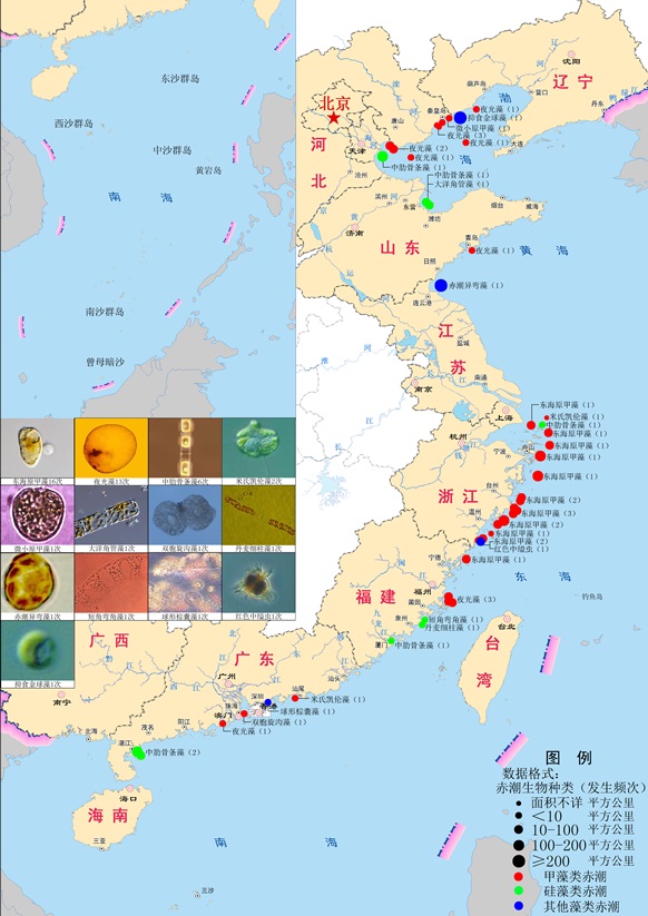 2013年中国海洋环境状况公报/全文