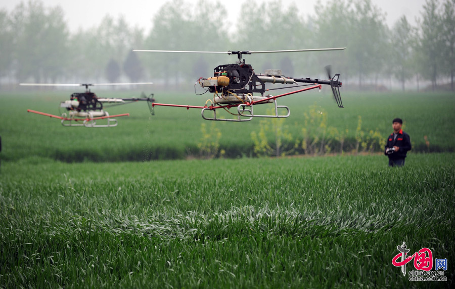 安徽亳州：遥控无人直升机喷洒农药[组图]