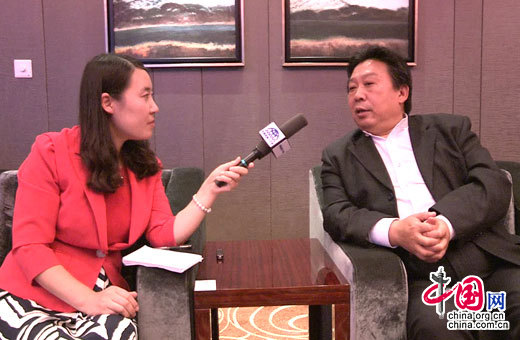 图为中国网/中国发展门户网记者对中国城市战略研究中心主任丁晓宇进行专访。
