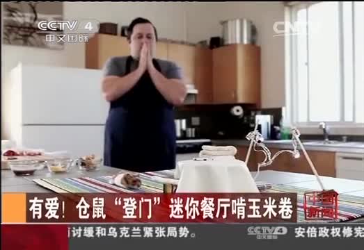 惊险！小熊攀峭壁；有爱！仓鼠吃大餐