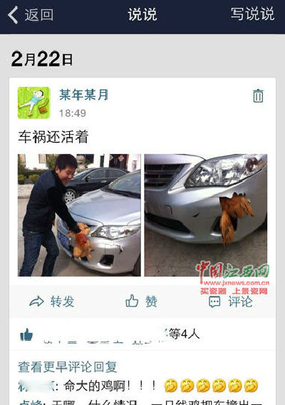 轿车与鸡相撞 母鸡毫发未伤车被撞出窟窿 轿车与鸡相撞 母鸡毫发未伤车被撞出窟窿