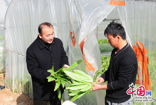 昆明市呈贡区委书记周峰越到陆良失地农民创业基地看望慰问租地农民。