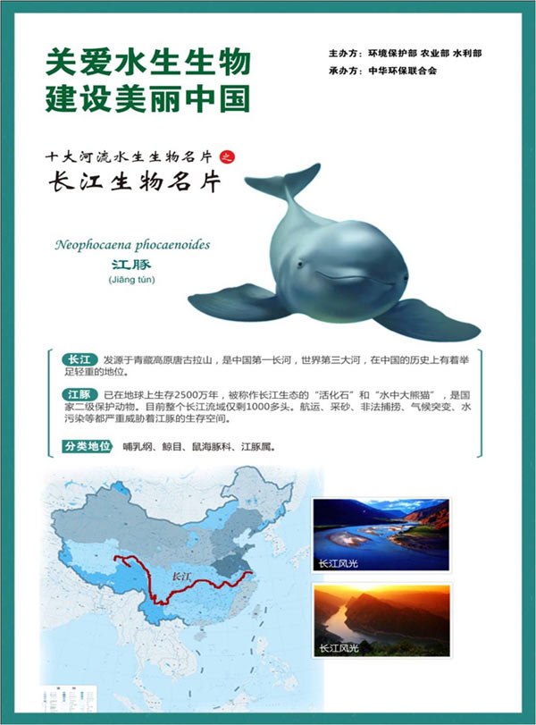 “十大河流水生生物名片评选结果”为：长江生物名片：江豚，黄河生物名片：兰州鲇，珠江生物名片：鲮，黑龙江生物名片：达氏鳇，淮河生物名片：三角帆蚌，辽河生物名片：松江鲈，雅鲁藏布江生物名片：异齿裂腹鱼，澜沧江生物名片：丝尾鱯，怒江生物名片：贡山裂腹鱼，额尔齐斯河生物名片：哲罗鲑。