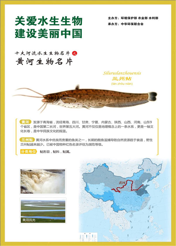 “十大河流水生生物名片评选结果”为：长江生物名片：江豚，黄河生物名片：兰州鲇，珠江生物名片：鲮，黑龙江生物名片：达氏鳇，淮河生物名片：三角帆蚌，辽河生物名片：松江鲈，雅鲁藏布江生物名片：异齿裂腹鱼，澜沧江生物名片：丝尾鱯，怒江生物名片：贡山裂腹鱼，额尔齐斯河生物名片：哲罗鲑。