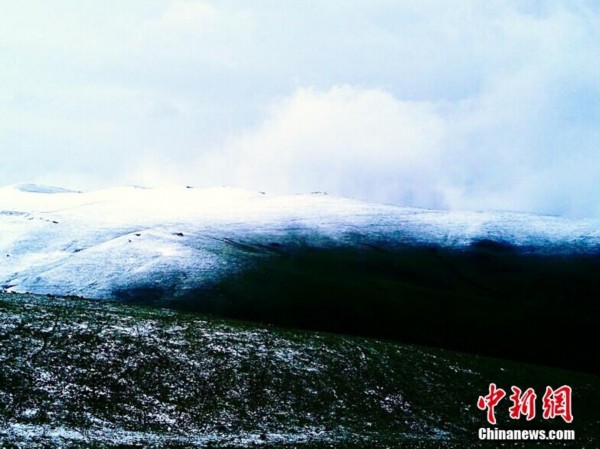 新疆新源南山6月飞雪 景美如仙境【5】