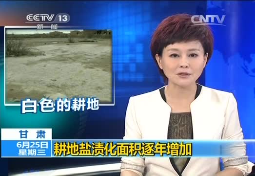 甘肃:耕地盐渍化面积逐年增加 农民庄家减产_