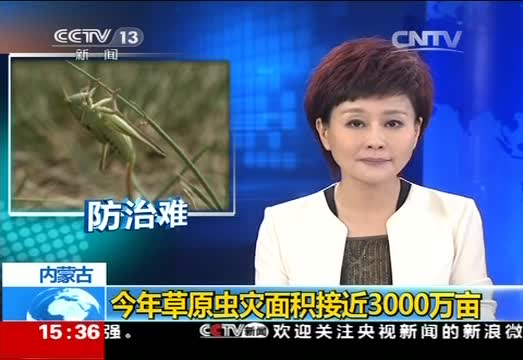 内蒙古：今年草原虫灾面积接近3000万亩