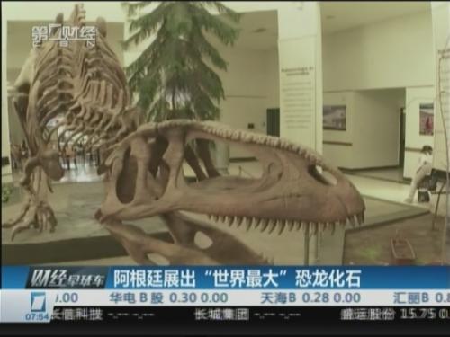 阿根廷展出“世界最大”恐龙化石