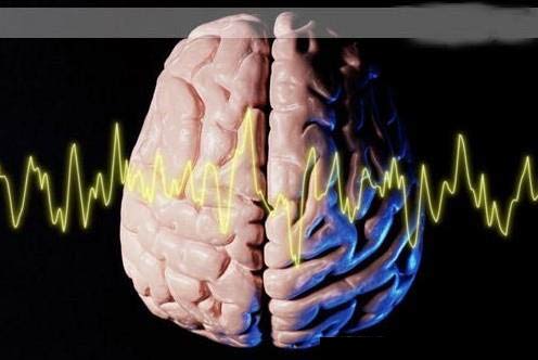 2014 年7月4日至6日，中国认知科学学会第一届学术大会在京举行。本届学术大会的主题是“认知科学和脑疾病转化医学”。