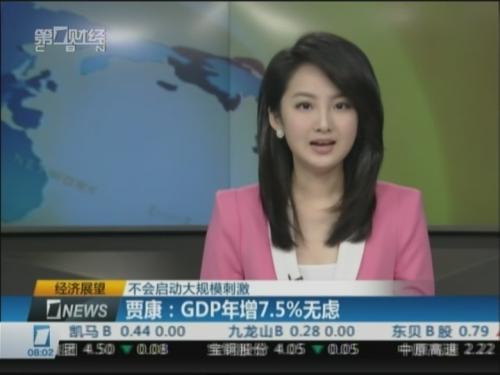贾康:GDP年增7.5%无虑 不会启动大规模刺激