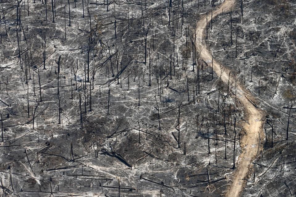 摄影师12年航拍观察亚马逊热带雨林遭砍伐惨象