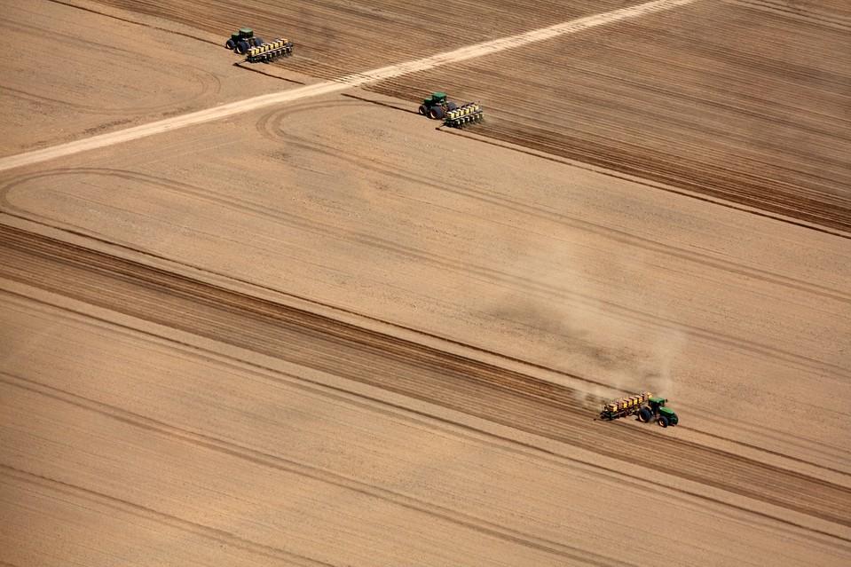 摄影师12年航拍观察亚马逊热带雨林遭砍伐惨象