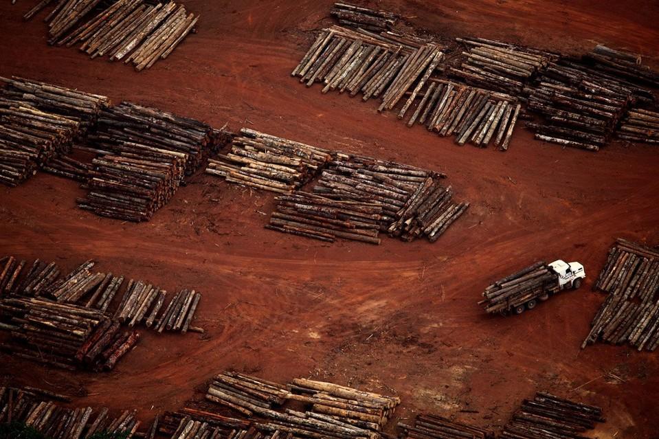 摄影师12年航拍观察亚马逊热带雨林遭砍伐惨象