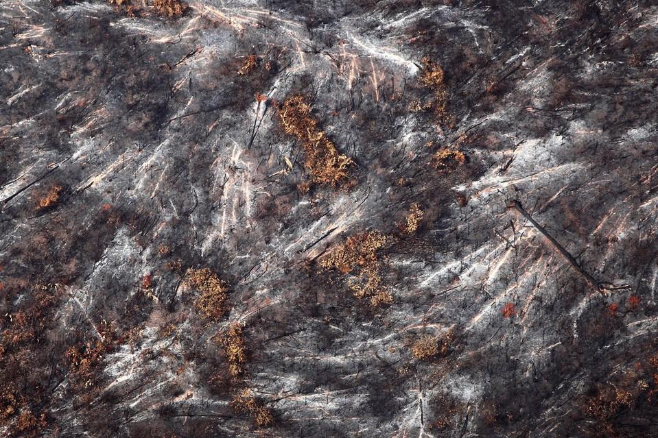 摄影师12年航拍观察亚马逊热带雨林遭砍伐惨象