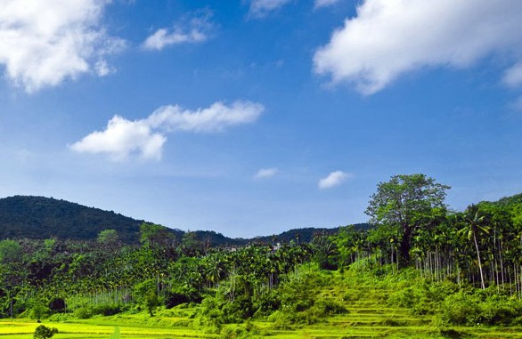  呀诺达雨林文化旅游区（来源： 呀诺达雨林文化旅游区官网） 景区门票：170元/人（包含门票130元/人，游览车票40元/人） 景区简介：呀诺达雨林文化景区充分以天然形胜和热带雨林景观为主体基础景观，融汇“热带雨林文化、黎峒文化、南药文化、生肖文化”等优秀文化理念于一体，构建一个以“原始绿色生态”为主格调的高档次、高品位、高质量的大型生态文化旅游主题旅游景区。同时，呀诺达雨林文化景区也是海南省第一个充分展示和表现海南热带雨林“绿色生态文化”的综合性主题景区。 景区地址：海南省三亚市保亭黎族苗族自治县