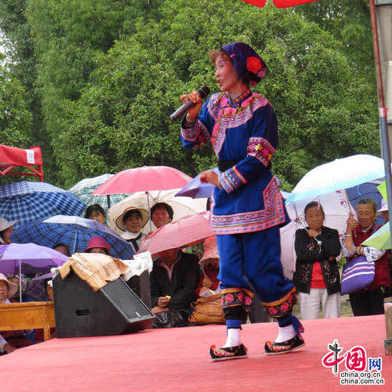 云南省昆明市呈貢區第九屆“花都”文化節在洛龍公園火熱舉行。 解江偉拍攝