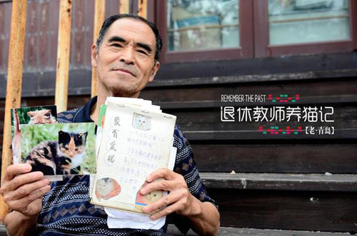 青岛74岁“猫咪控”奔走8年喂养流浪猫 青岛74岁“猫咪控”奔走8年喂养流浪猫
