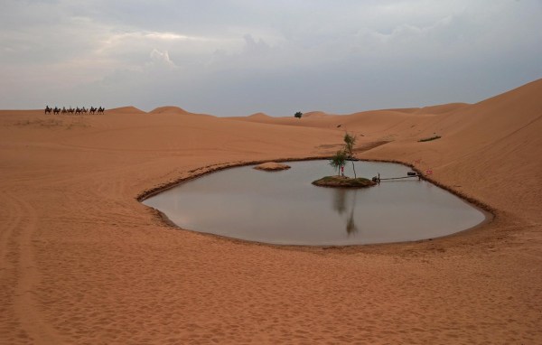 腾格里沙漠遭工业污染:黑色管道直接插入沙中(图)