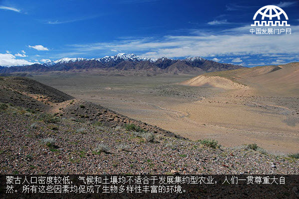 保護(hù)蒙古國(guó)境內(nèi)的雪豹