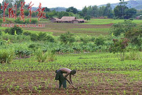 马拉维位居世界八个最贫穷国家之列