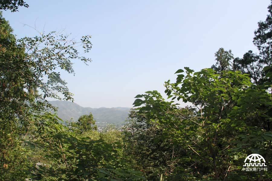 绿意香山:秋回人不归 独留山中醉[组图]_中国发