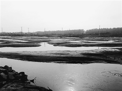 辽中国家湿地公园河道