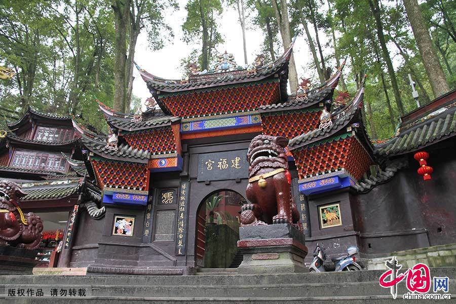 四川大熊猫栖息地拥有丰富的植被种类，是全球最大最完整的大熊猫栖息地，全球30%以上的野生大熊猫栖息于此。