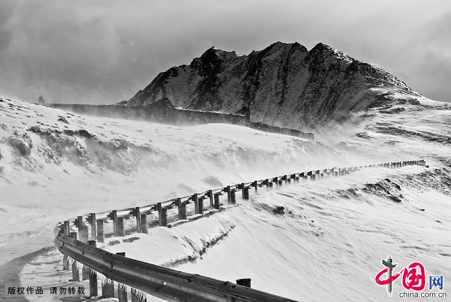 四川大熊猫栖息地拥有丰富的植被种类，是全球最大最完整的大熊猫栖息地，全球30%以上的野生大熊猫栖息于此。