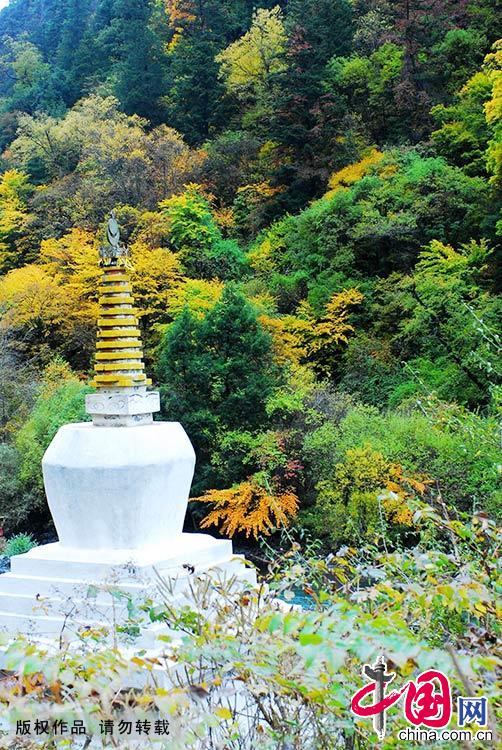 四川大熊猫栖息地拥有丰富的植被种类，是全球最大最完整的大熊猫栖息地，全球30%以上的野生大熊猫栖息于此。