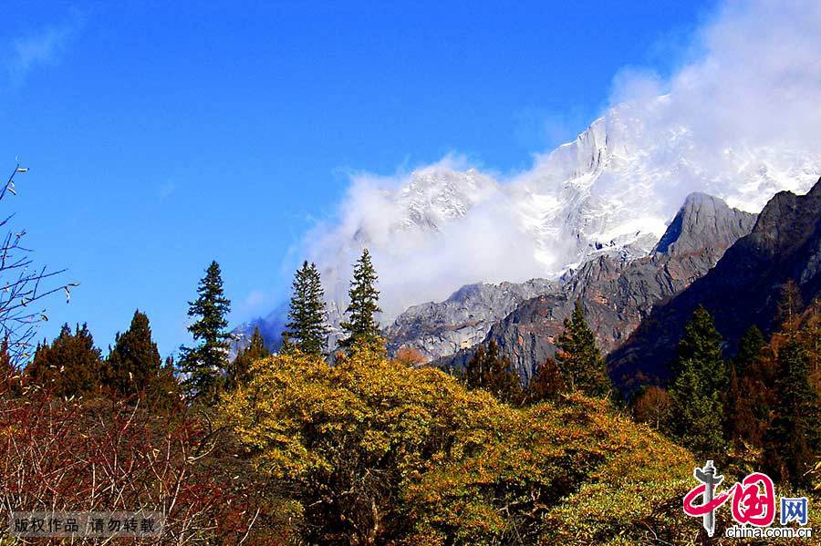 四川大熊猫栖息地拥有丰富的植被种类，是全球最大最完整的大熊猫栖息地，全球30%以上的野生大熊猫栖息于此。