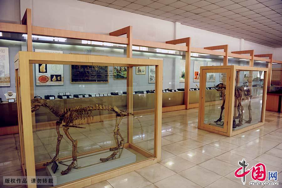 周口店遗址位于北京市西南房山区周口店镇龙骨山北部，是世界上材料最丰富、最系统、最有价值的旧石器时代早期的人类遗址。