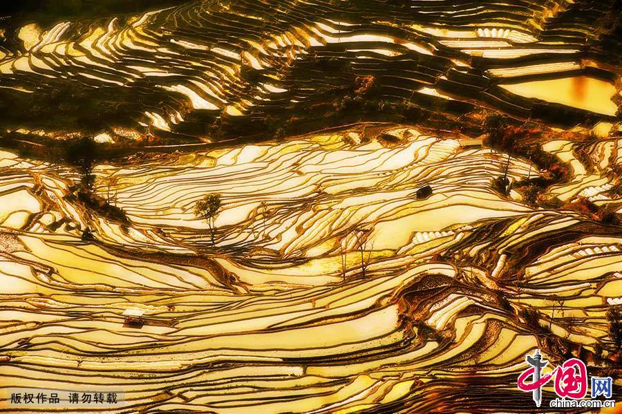 红河哈尼梯田文化景观位于中国云南省红河哈尼族彝族自治州元阳县，是哈尼族人世世代代留下的杰作。梯田随山势地形变化，因地制宜。