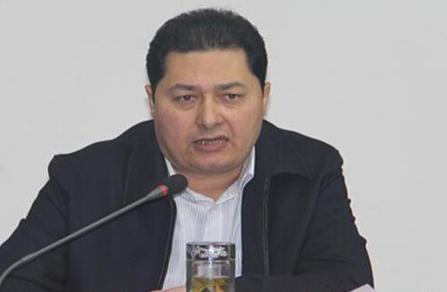 新疆和田市长阿迪力-努尔买买提接受组织调查