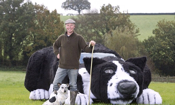 英農民將汽車改造成“牧羊犬”