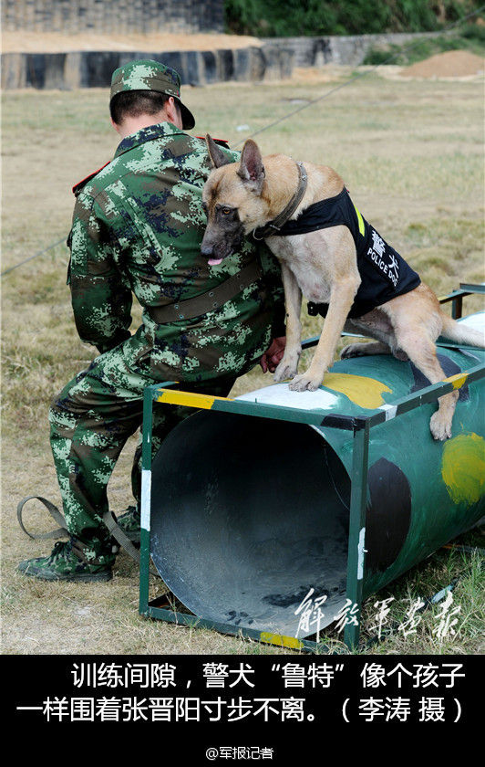 训犬员退伍 警犬紧咬主人行李不放