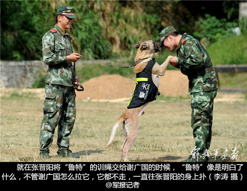 训犬员退伍 警犬紧咬主人行李不放