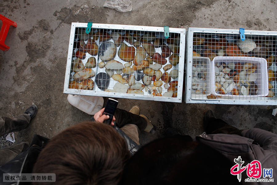 每天下午，在和田市广场，也都有玉石巴扎。在玉石巴扎，小商贩把玉石所在笼子里，等带它们的主人来认领。